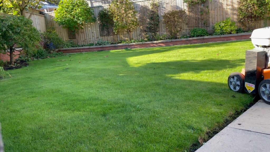 Regenerative Lawn Care